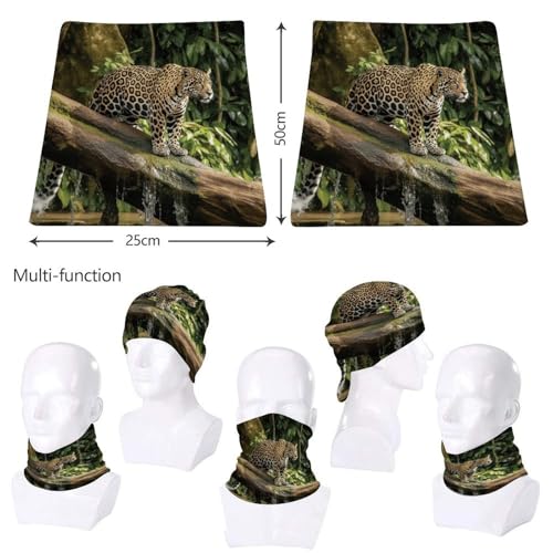 Neck Gaiter Face Mask Men Women, Tropical Palm Tree Face Mask Scart Cover for Dust Wind Sun Protection2
