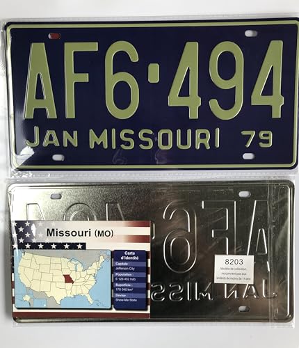 OPO 10 - 10er-Set US-Autokennzeichen aus Metall – Repliken echter amerikanischer Kennzeichen P9