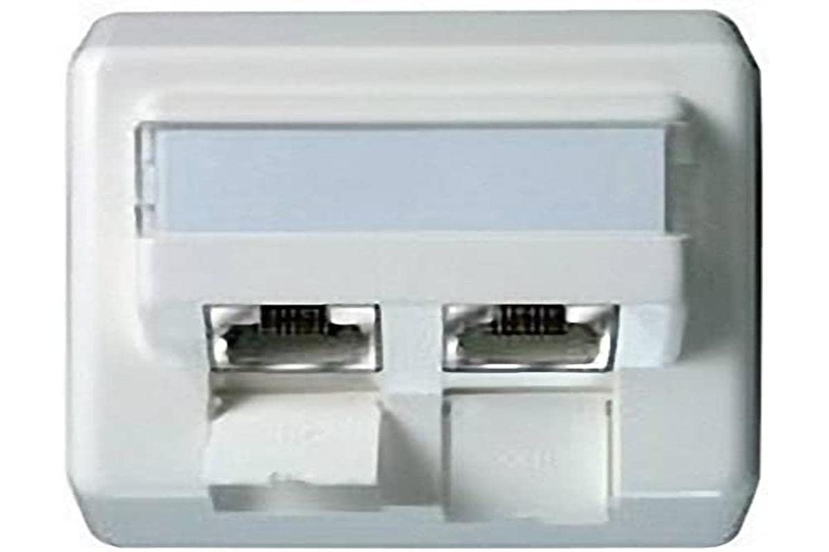 Telegärtner Telegaertner J00023A0207 Prise réseau encastrable CAT 6a 2 ports Blanc perle