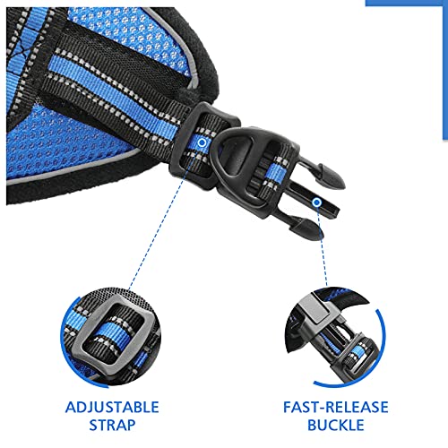 rabbitgoo Cat Harness and Leash Set for Walking Escape Proof, Adjustable Soft Kittens Vest with Reflective Strip for… - Image 5
