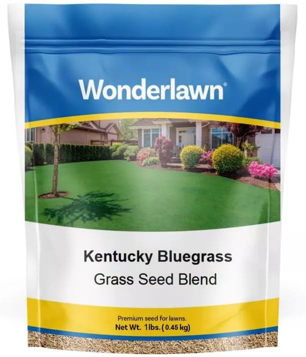 BARENBRUG USA TVKBG7 TV 7 lb Kentucky Bluegrass Seed