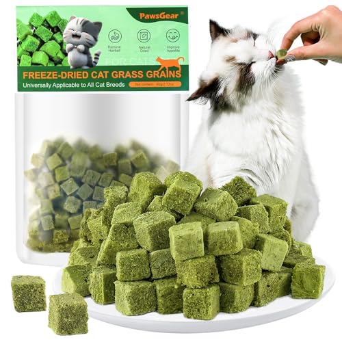 Image of 60g /2.13oz Cat Grass Teething Toy Hairballs,Chew Treats for Cats,Edible Cat Chew Toys,Natural for Cats,Teeth Cleaning and Hairball Removal (60g)