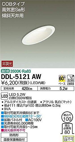 Amazon.co.jp: 大光電機（DAIKO） ダウンライト(軒下兼用) LED