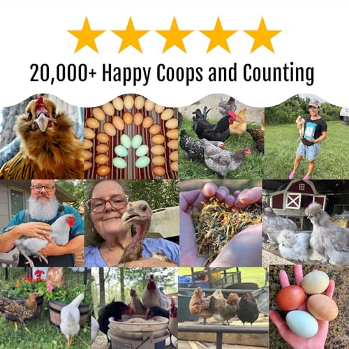 Image of Buff Clucks Herb Supplement for Backyard Chickens - Natural Chicken Treats, Poultry Feed Botanical Mix, Plant-Based Coop Snacks for Daily Wellness, Feather Quality, Egg Production, USA (20 LB)