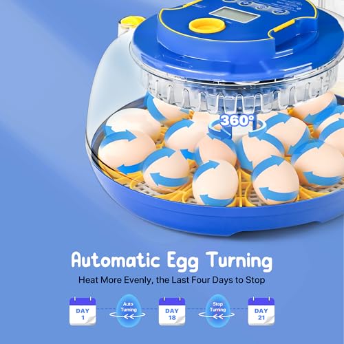 18-36 Eggs Incubators for Hatching Eggs with Automatic Egg Turning and Humidity Control, for Chicken, Duck, Quail, Goose, Parrot Eggs - 360° View for Farm, Classroom, Home Use - Image 5