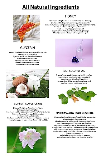 Image of Throat Coat Syrup - Honey Glycerite with Organic Slippery Elm & Marshmallow Root - One Pump Coats & Soothes Dry, Scratchy, Irritated Throats - 220 Doses, 1 Calorie Each, About 9¢ a Dose.