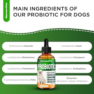 Probiotics-for-Dogs-Liquid-Probiotics-for-Dogs-Prebiotic-for-Dogs-Digestive-Enzymes-Puppy-Probiotic-Dog-Probiotics-and-Digestive-Enzymes-2-Oz - Cucciolini Doodles   Probiotics-for-Dogs-Liquid-Probiotics-for-Dogs-Prebiotic-for-Dogs-Digestive-Enzymes-Puppy-Probiotic-Dog-Probiotics-and-Digestive-Enzymes-2-Oz
