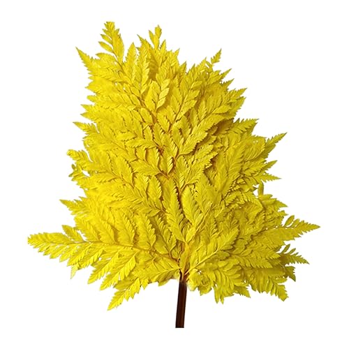 10pcs Flores Secas Naturales para Decoración miniatura 1