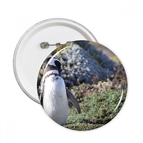 Badge pingouin Spheniscidae pins rond vêtement décoration multicolore XXL 5pcs
