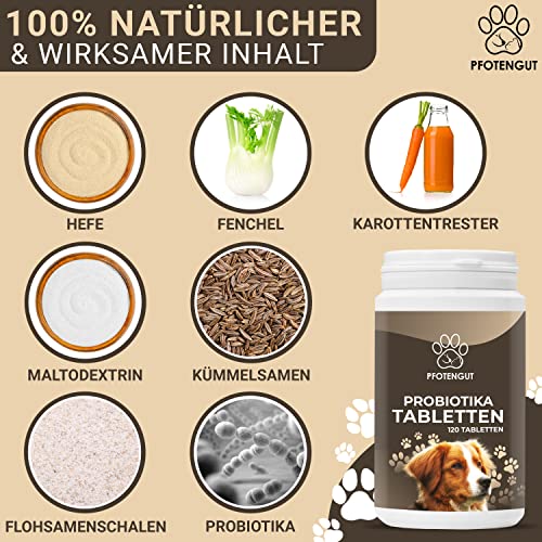 Probiotika für Hunde von PFOTENGUT – 120 Tabletten zur Unterstützung der Darmflora