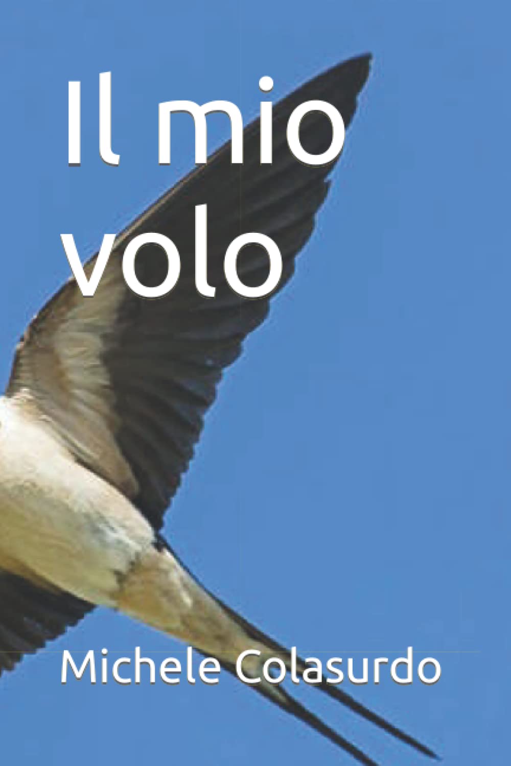 Il mio volo