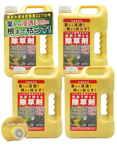 根まで枯らす 除草剤 非農耕地用 本体ボトル シャワータイプ 4L 4個セット 液体 強力 業務用 雑草対策 散布 大容量 スギナ しぶとい雑草のために本気で使える