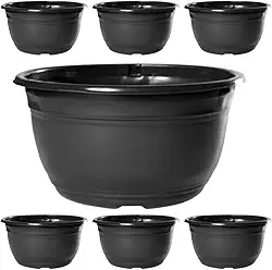 Kit 10 Vaso Cuia Para Produtor De Rosa Do Deserto Cacto e Suculenta 2,9 Litros de Plástico Reciclado Preto