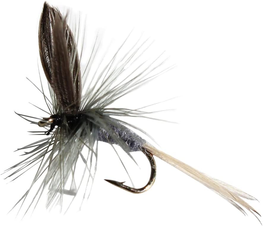 Flies Direct Blue Dun Assortment Trout Fishing Flies (1-Dozen)