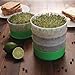KITCHEN CROP Deluxe Seed Sprouter with 4 Growing Trays and 1 Seed Packets, (Alfalfa Seeds) Easily Grow Sprouts Indoors for a Healthy Lifestyle