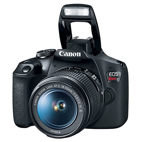 Cámara Canon EOS Rebel T7 DSLR con lentes y accesorios miniatura 6
