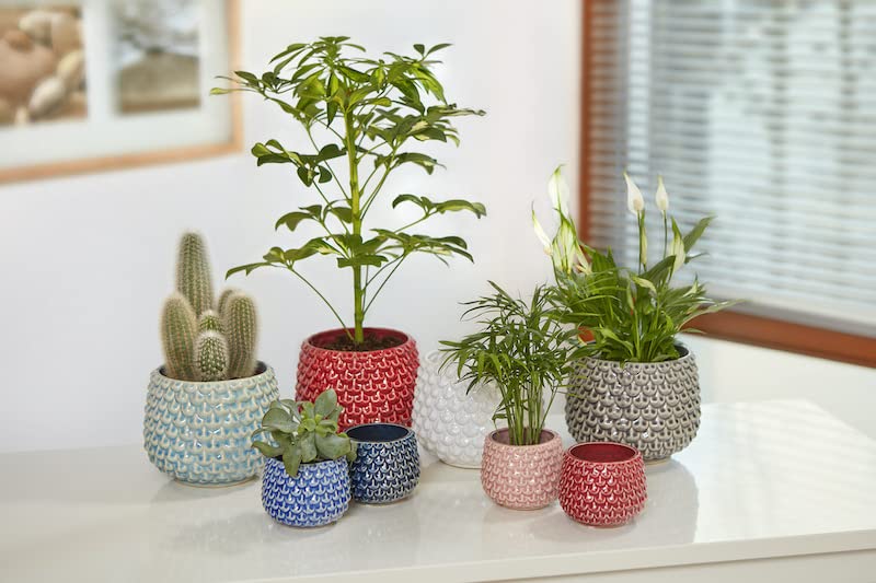 Bloomingville Pinecone Stoneware Flower Pot, 6.5", Rose