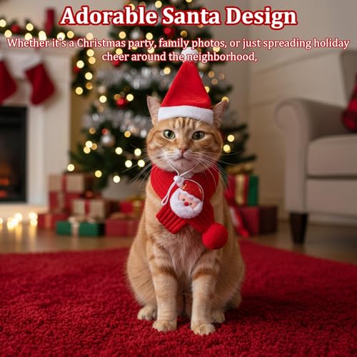 Set de sombrero y bufanda de Santa para perro grande miniatura 4