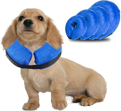 amazon inflatable dog cone