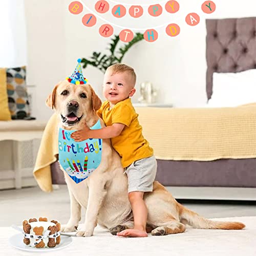 Dog Birthday Bandana, Boy Dog Birthday Hat With Number - Dog Birthday Supplies For Small Medium Dog Pet(Blue) #TOP6