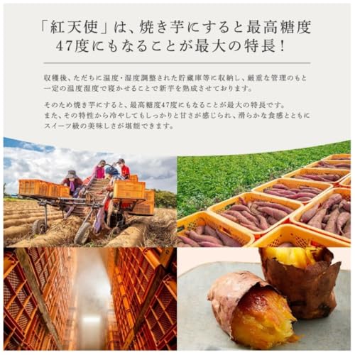 カルビー かいつか 紅天使 冷凍 焼きいも 1kg の商品画像 2