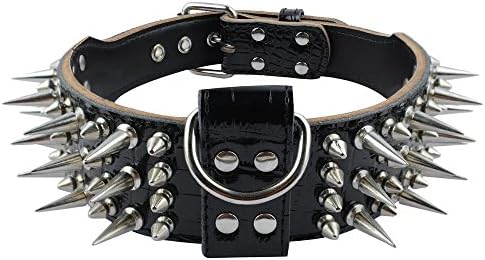 dog collar spikes