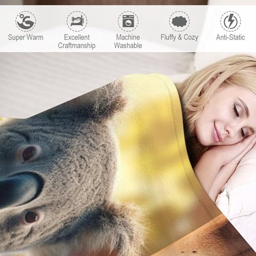 Manta de koala cálida y acogedora de 130 x 180 cm para sofá y cama 6