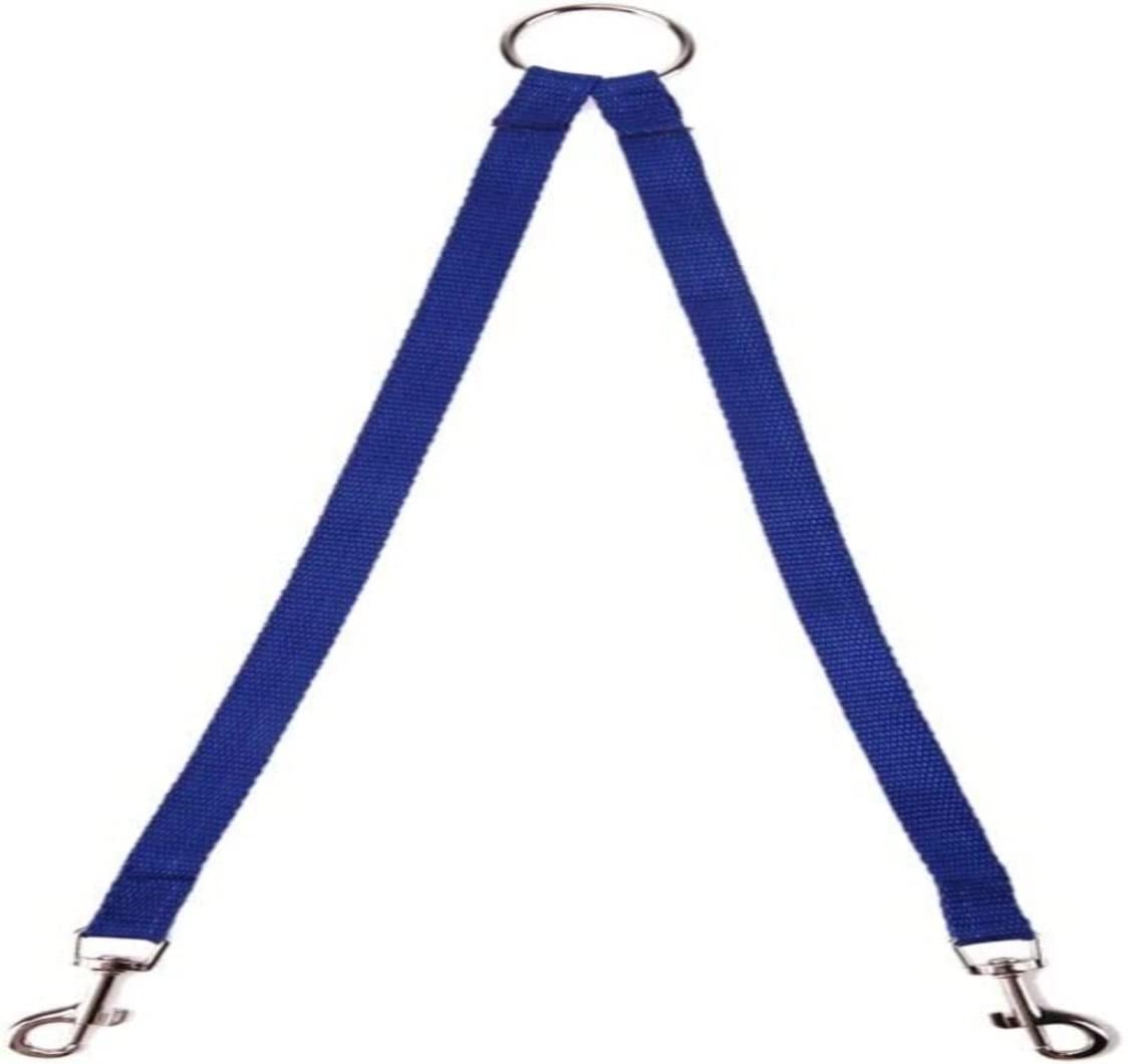 Coupleur de laisse bleu en nylon pour balade urbaine sereine de deux chiens
