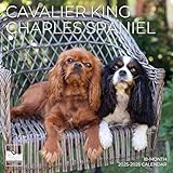 July 2025- December 2026 Cavalier King Charles Spaniel Wall Calendar 18 Month | 12" x 24" Open | Giftable Dog Calendar 2026 | Thick & Sturdy Paper for Organizing & Planning | Pacific Waters Press (Cavalier King Charles Spaniel)
