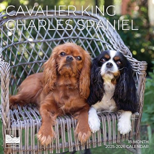 July 2025- December 2026 Cavalier King Charles Spaniel Wall Calendar 18 Month | 12" x 24" Open | Giftable Dog Calendar 2026 | Thick & Sturdy Paper for Organizing & Planning | Pacific Waters Press (Cavalier King Charles Spaniel)