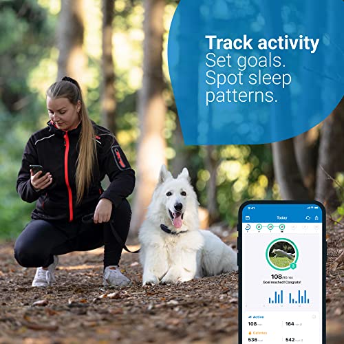 3 Best GPS Trackers for Dogs UK 2023 Tested & Reviewed AblePaws.co.uk