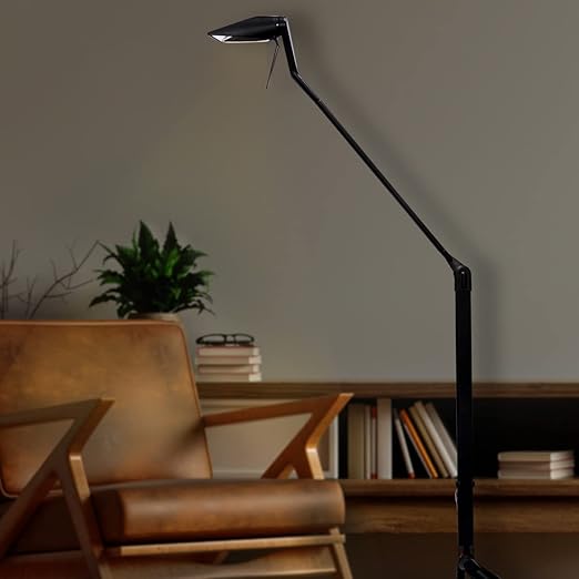 Ostrich Floor lamp