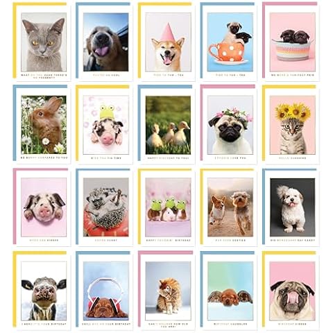 Central 23 Assorted Birthday Cards with Envelopes Cover