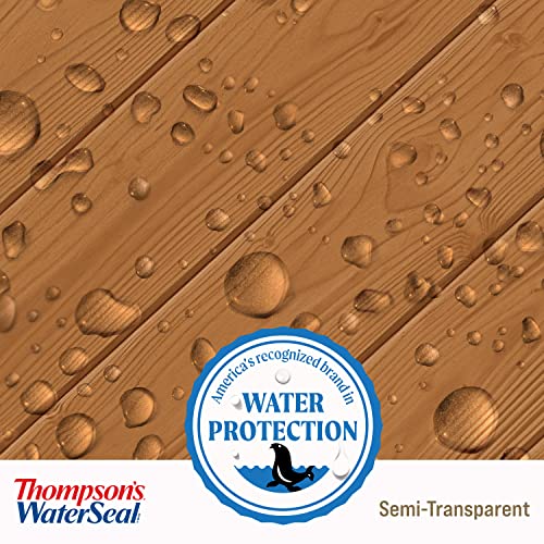 Thompson'S Water Seal TH.092301-16 Thompson’S Waterseal Semi-Transparent Waterproofing Wood Stain And Sealer thumb #6