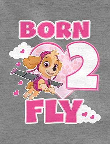 Tstars Paw Patrol Skye Born 2 Fly 2nd Birthday 3/4 Sleeve Baseball Jersey Toddler Shirt2