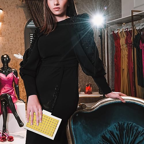 Image of YYW Women's Evening Clutch Acrylic Clutch Purses for Women Wedding Prom Dress Bag | for Women