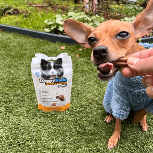 DoggyRade Prebiotische Hühner-Kau-Leckerlis für Hunde 16 Leckerlis pro Packung - Darmgesundheit - Immununterstützung - Zahnpflege
