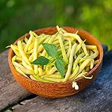 Semillas De Judía Perolar - Phaseolus Vulgaris - Semillas De Judía Planta Treparse Para Exteriores: Variedad De Verduras Frescas Para Mini Huerto Ecológico - 10 Piezas (Amarillo)