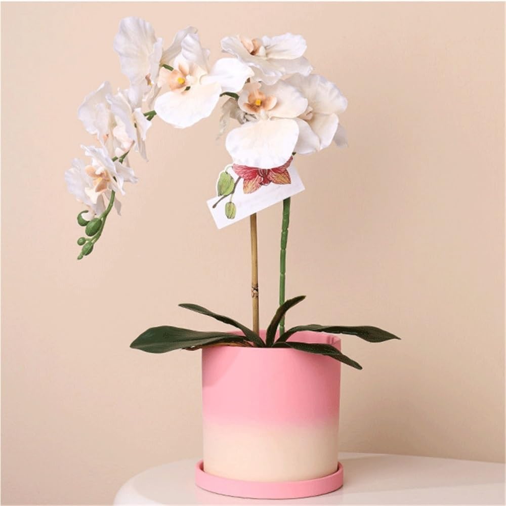 Fioriera in ceramica rosa, vaso rotondo for piante da interno ed esterno, vaso da fiori con foro di drenaggio e vassoio(X-Large)
