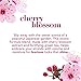 OGX Heavenly Hydration Cherry Blossom Conditioner, 13 Ounce