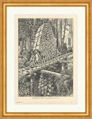 Kunstdruck A Sleigh Railway in the Vogesen P. Kaufmann Wald Holzstich E 9745 Framed