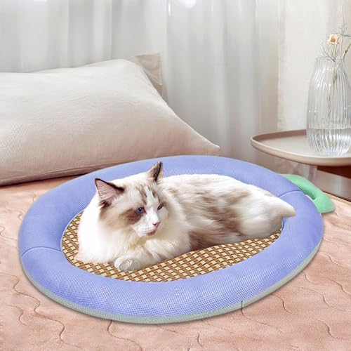 Couverture glacée d'intérieur pour chien souffrant de la canicule