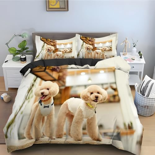 Housse de couette 200x200 chaton en microfibres douce à fermeture éclair rapide - 2