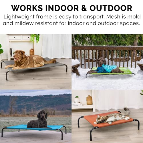 Image of FurHaven Elevated Pet Cots - Cooling & Breathable Nylon Mesh Hammock for Small Dogs & Cats /Easy-to-Assemble / / Durable and Reinforced /Perfect for Rest & Relaxation Outdoors - Capri Blue, Small