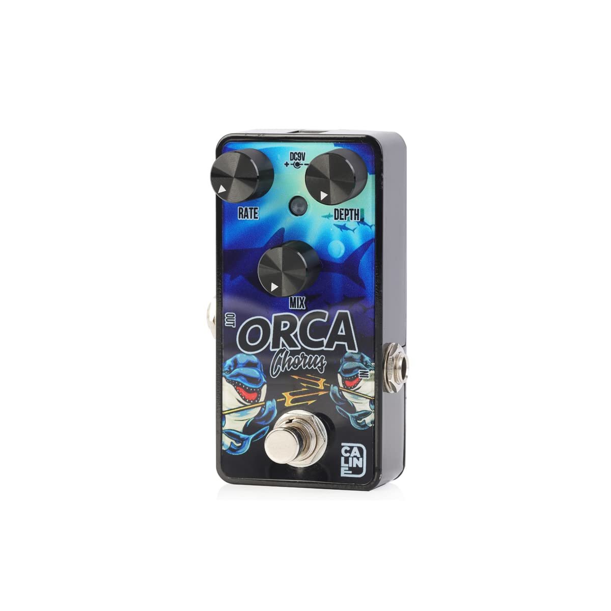 Caline G-003 - Orca Chorus