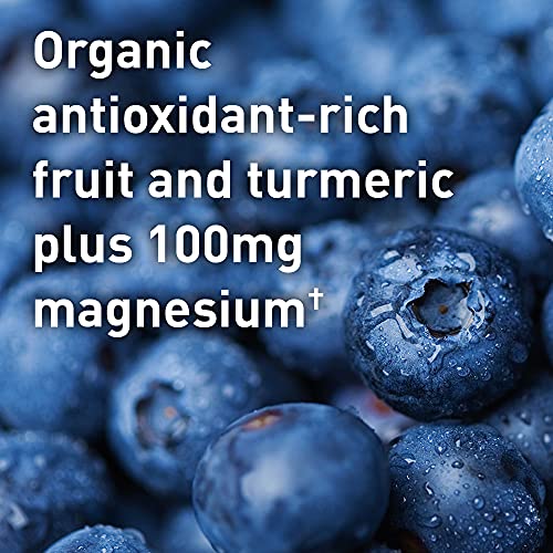Garden Of Life 0658010119474 Sport Vegan Organic Plant Based Post Workout Muscle Recovery Powder thumb #2