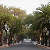 JMP 153608