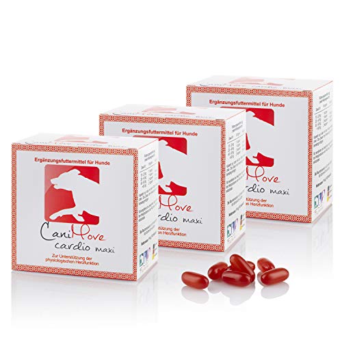 CaniMove Cardio Maxi, Ergänzungsfuttermittel für Herz, Blutdruck und Kreislauf, 3 x 100 Kapseln (a 1.140 mg), mit EPA/DHA, Crataegus und Vitaminen CaniMove Cardio Maxi, Ergänzungsfuttermittel für Herz, Blutdruck und Kreislauf, 3 x 100 Kapseln (a 1.140 mg), mit EPA/DHA, Crataegus und Vitaminen