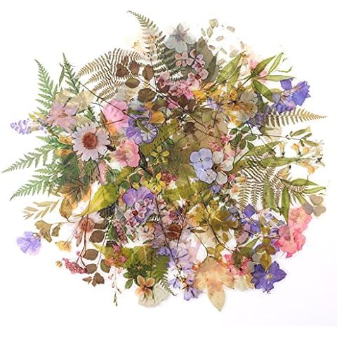 RisyPisy 160pcs Scrapbooks Natural Stickers, Floral and Plant Sticker for DIY Craft, Planners, Journal, Notebook, Laptop, Cell Phone, Calendars, Wedding Cover