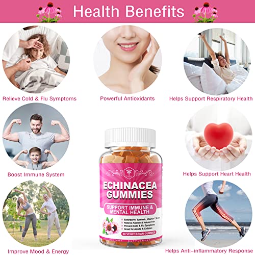 Envycure Immune Support Gummies For Adult Kid With Black Elderberry, Vitamin C, Zinc, Echinacea & Turmeric Extract - Vegan Immunity Booster Chewable Sambucus Gummy Antioxidant Herbal Supplement #TOP3